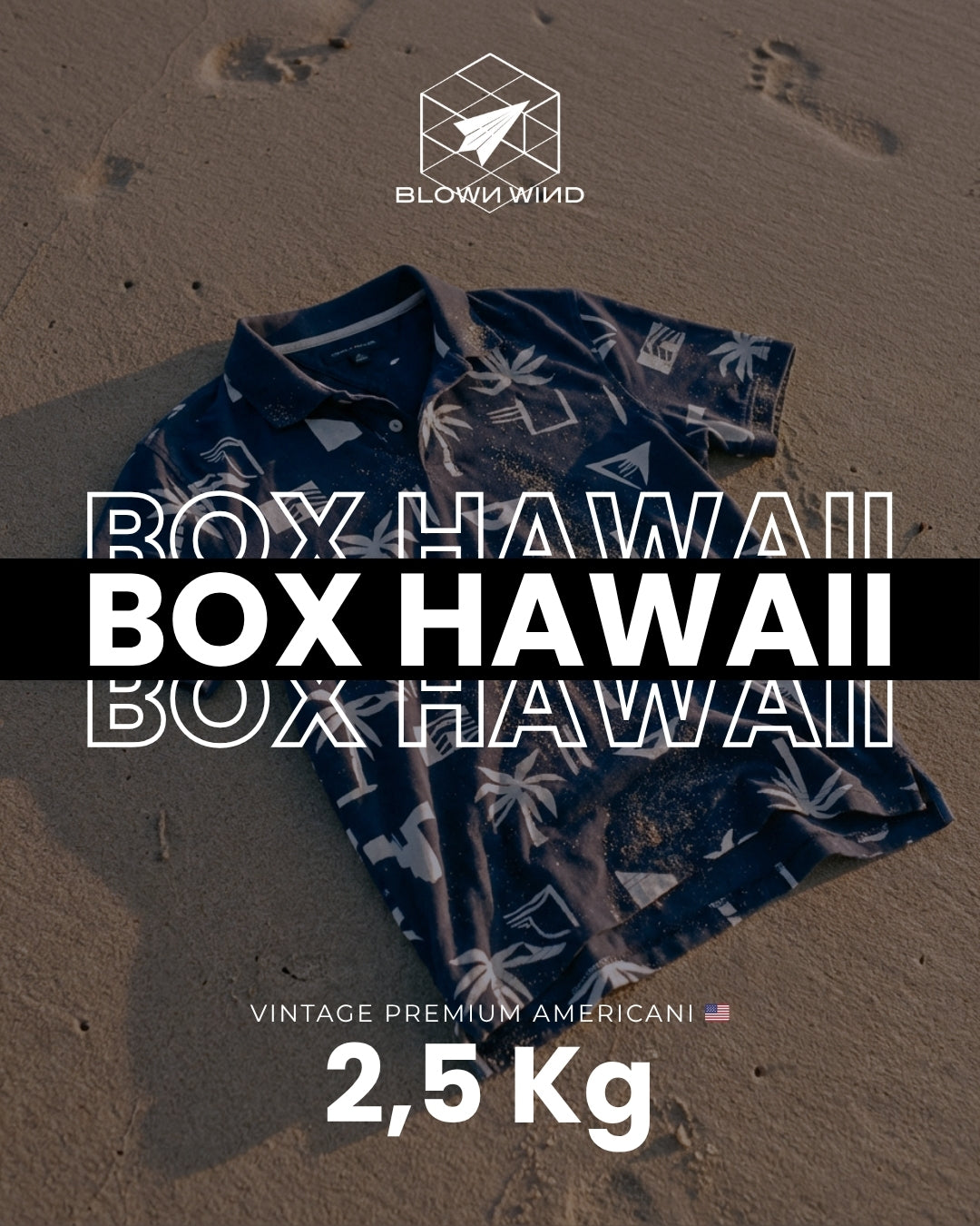 BLOWNWIND HAWAII SUMMER BOX - 2,5kg